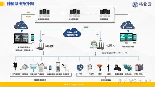 物聯網技術服務 賦能現代溫室大棚的智能化管理革命